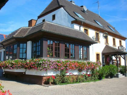 Foto: zur Traube